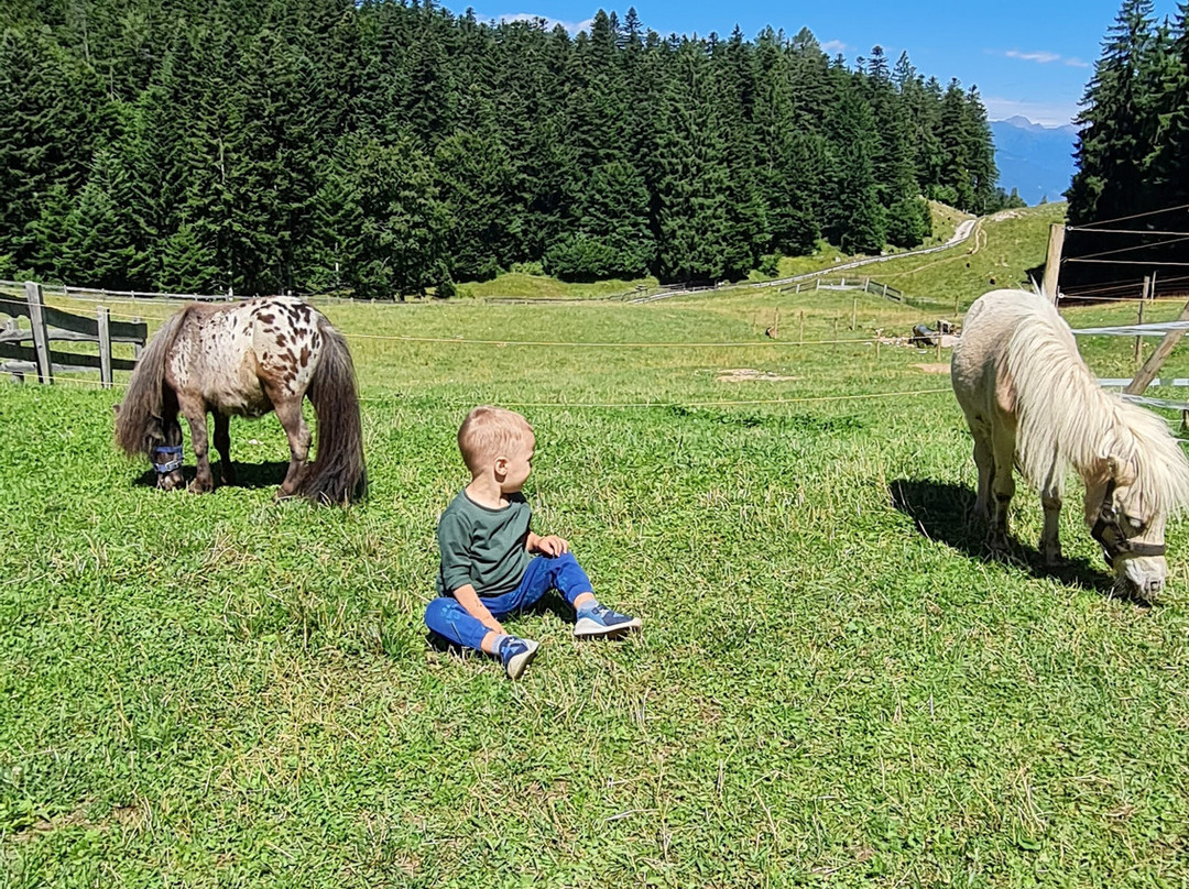 Malga Val Dei Brenzi-Fai della Paganella必去景点