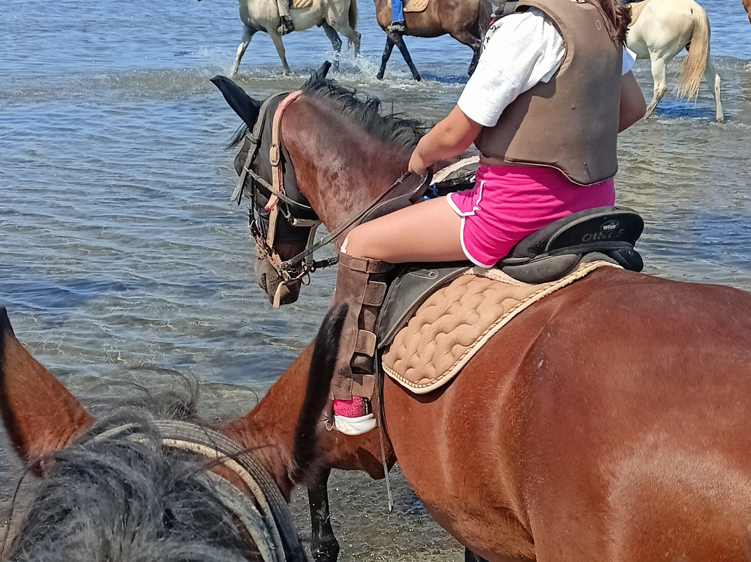 Maremma Escursioni-奥尔贝泰洛必去景点