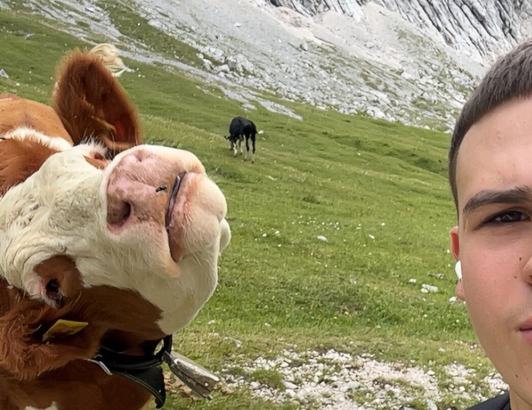 Alpspitze-加米许-帕坦克辛必去景点