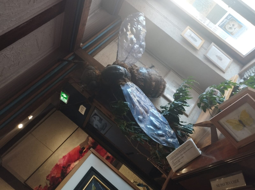 Le Relais Des Arts-La Petite Pierre必去景点