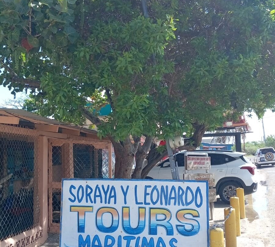 Soraya Y Leonardo Tours-Monte Cristi必去景点