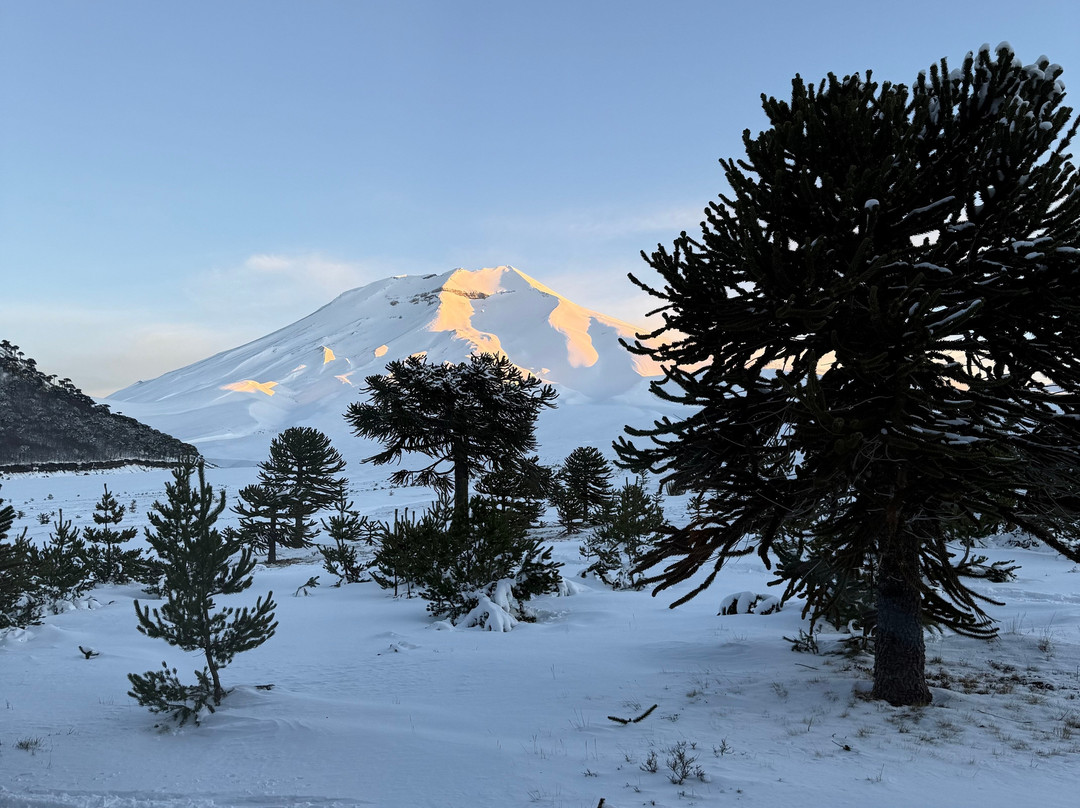 Valle Corralco Hotel & Spa主图