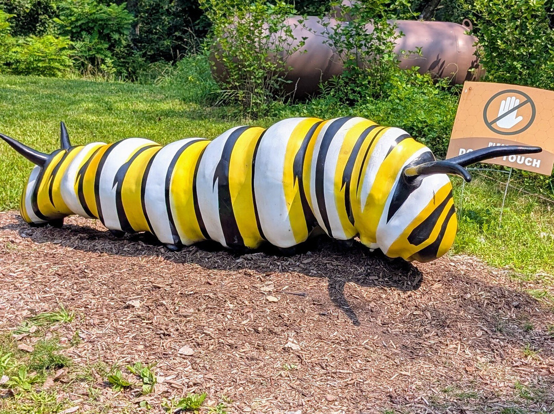 Lee G. Simmons Wildlife Safari Park-Ashland必去景点