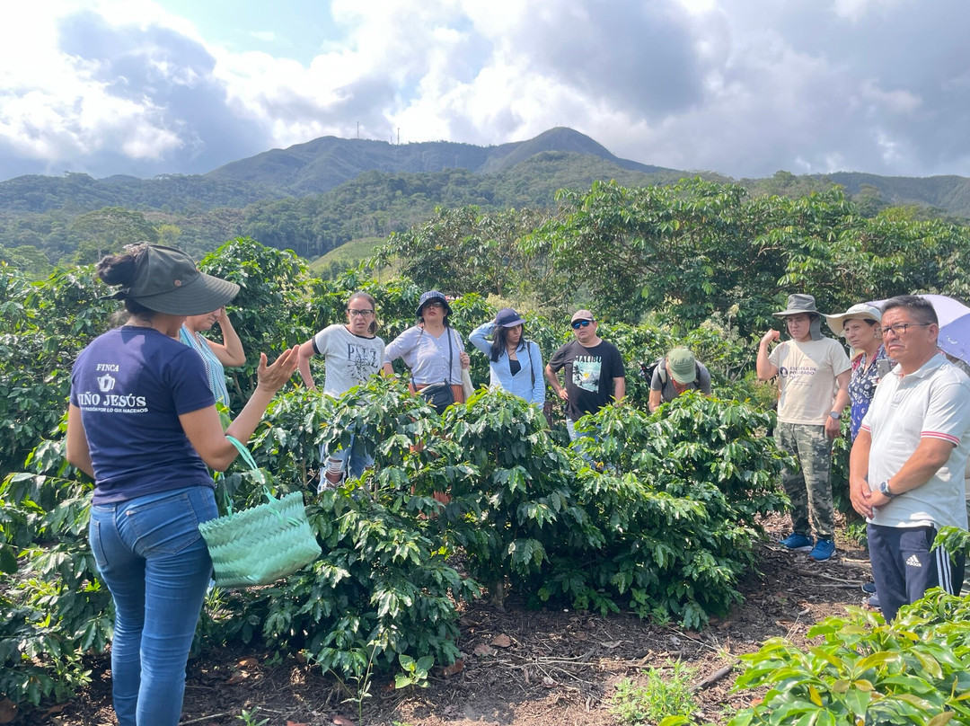 Mundo Verde Travel-Nueva Cajamarca必去景点
