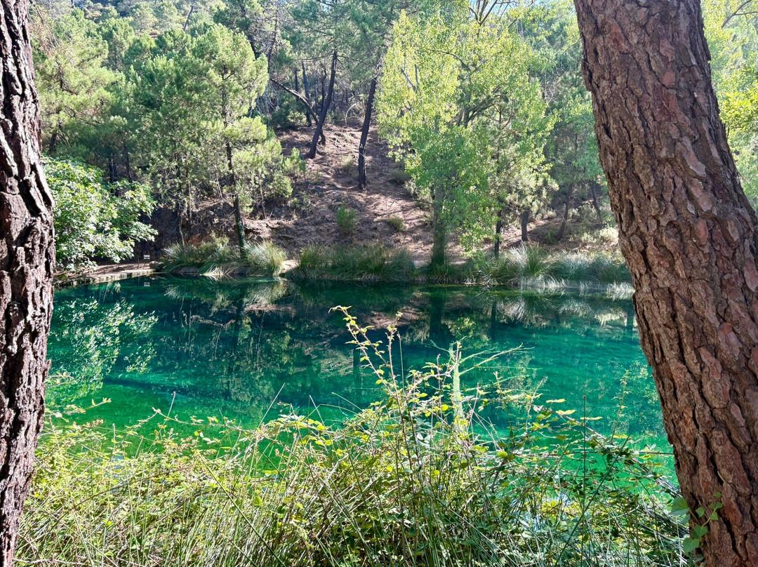 Nacimiento de Rio Frio-Dehesa de Santiago必去景点