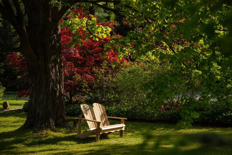 Phoenicia Lodge-浴室