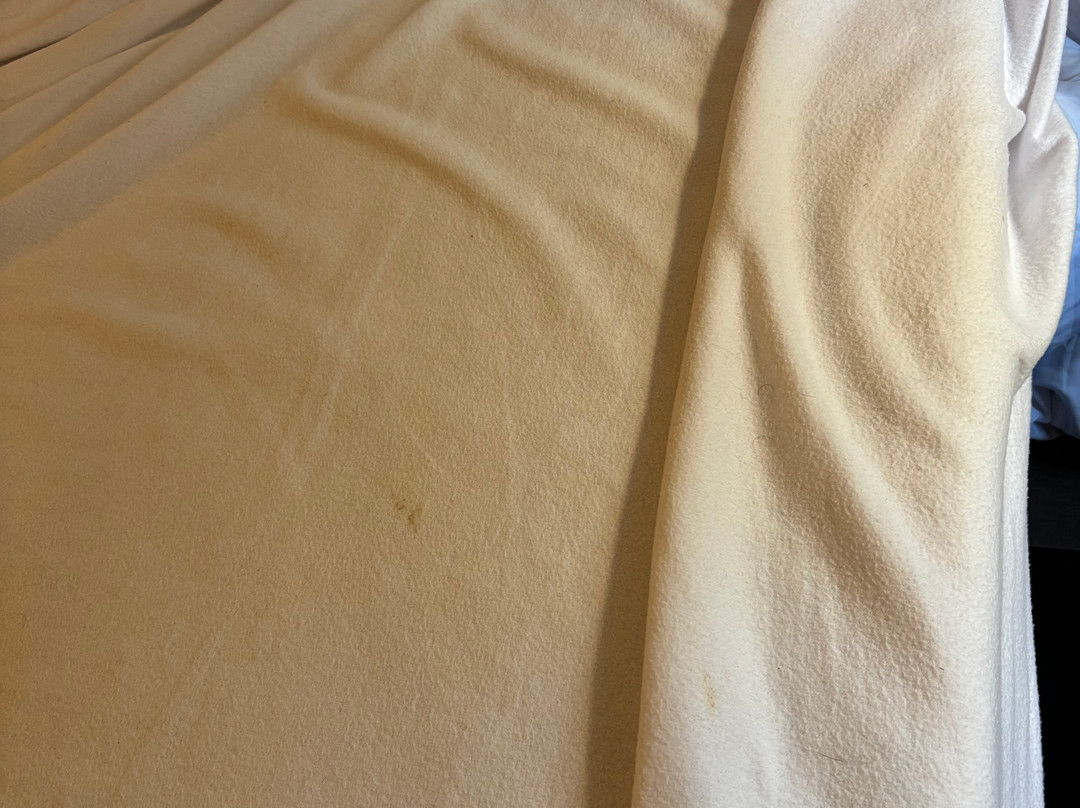 easyHotel Scheveningen主图