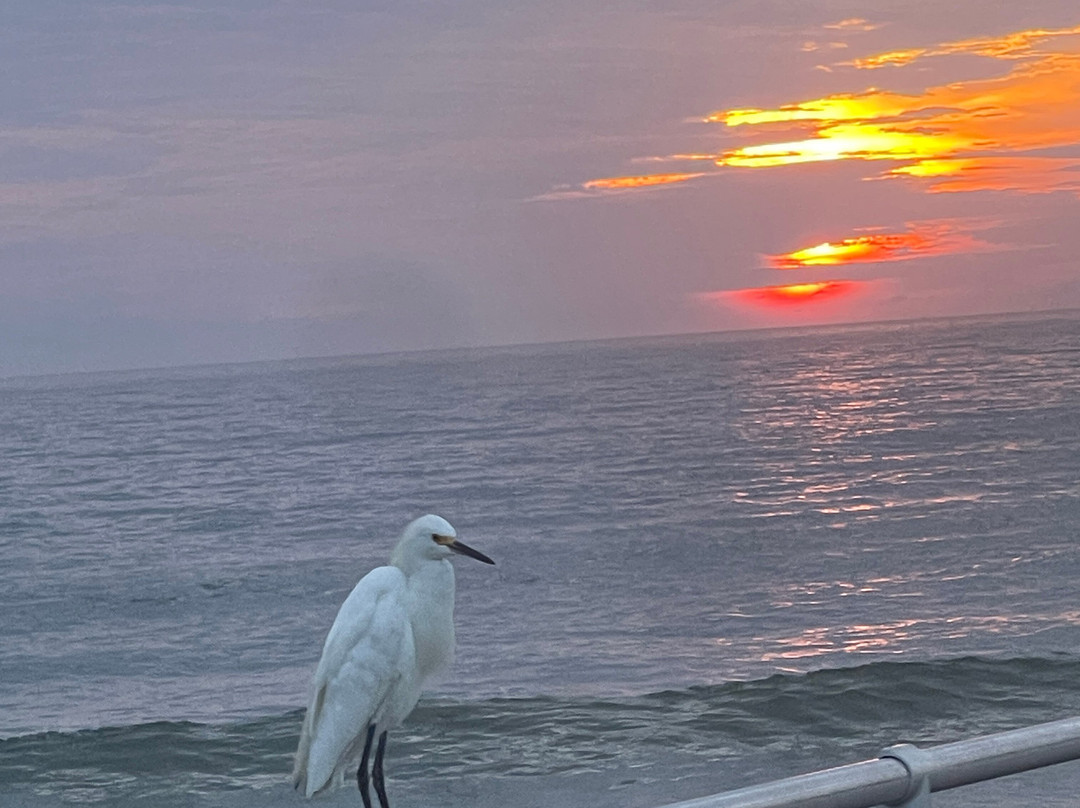 Ponce Inlet Jetty-Ponce Inlet必去景点