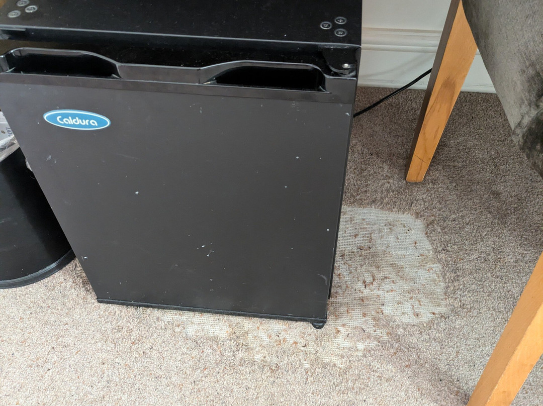 Ufford Park Resort, Woodbridge主图