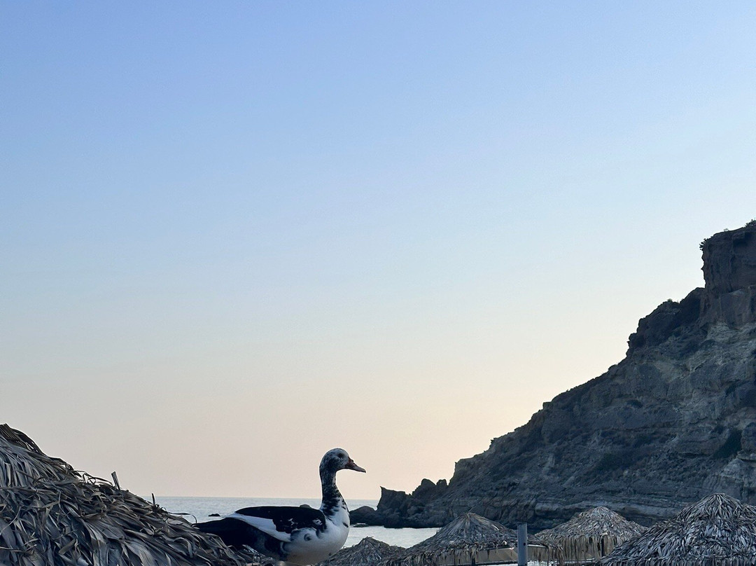 Agia Fotia Beach-Galini必去景点