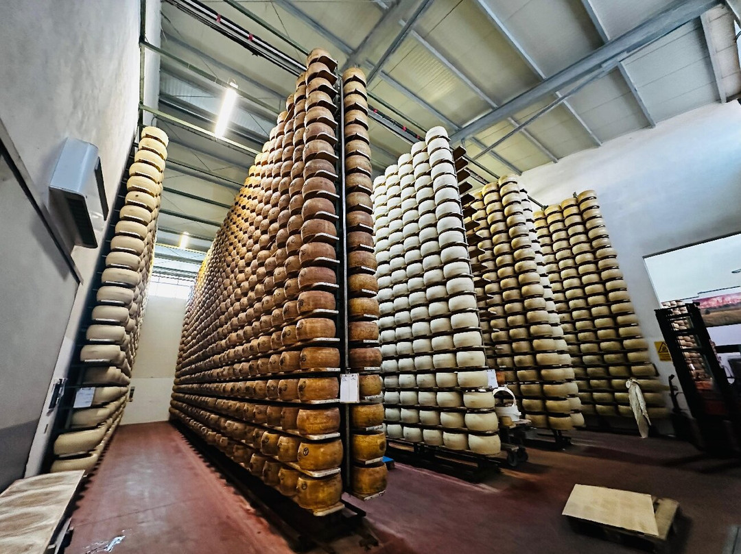 Azienda Agricola Moscattini-Formigine必去景点