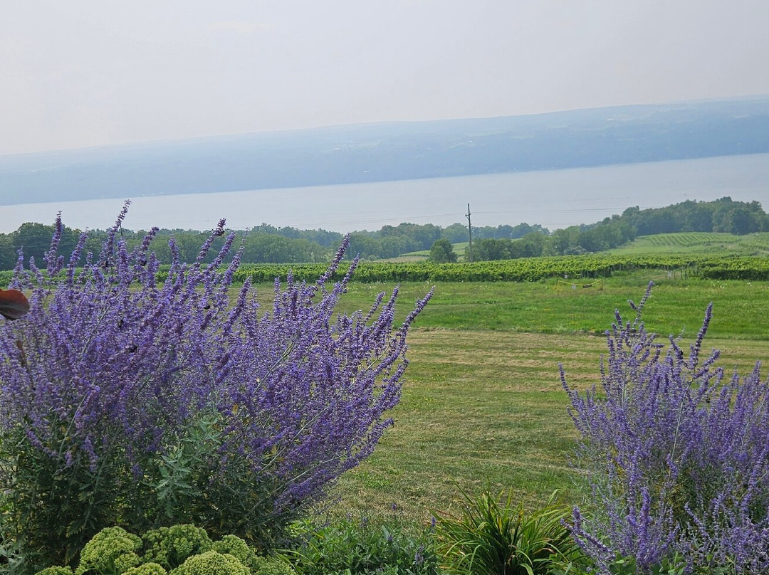 Silver Springs Winery L.L.C.-Burdett必去景点