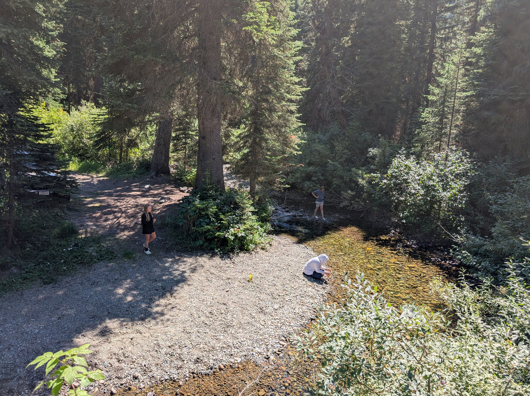 Glacier Jeep Rentals-Columbia Falls必去景点