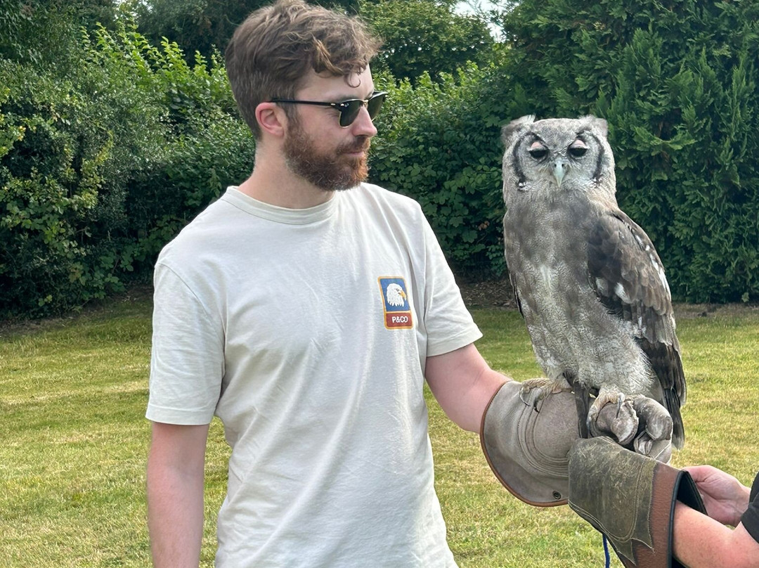 Falconry Experience Wales-Newtown必去景点
