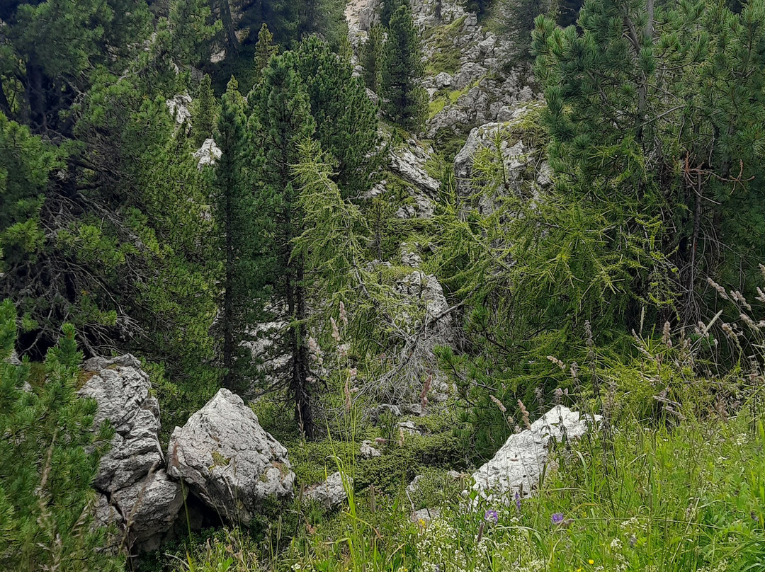 Città dei Sassi-塞尔瓦迪加尔代纳必去景点