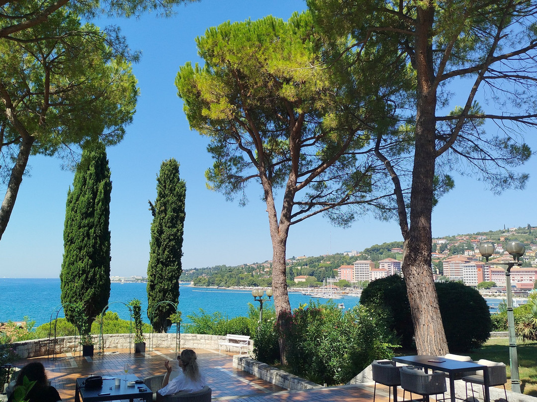 Remisens Hotel Lucija主图