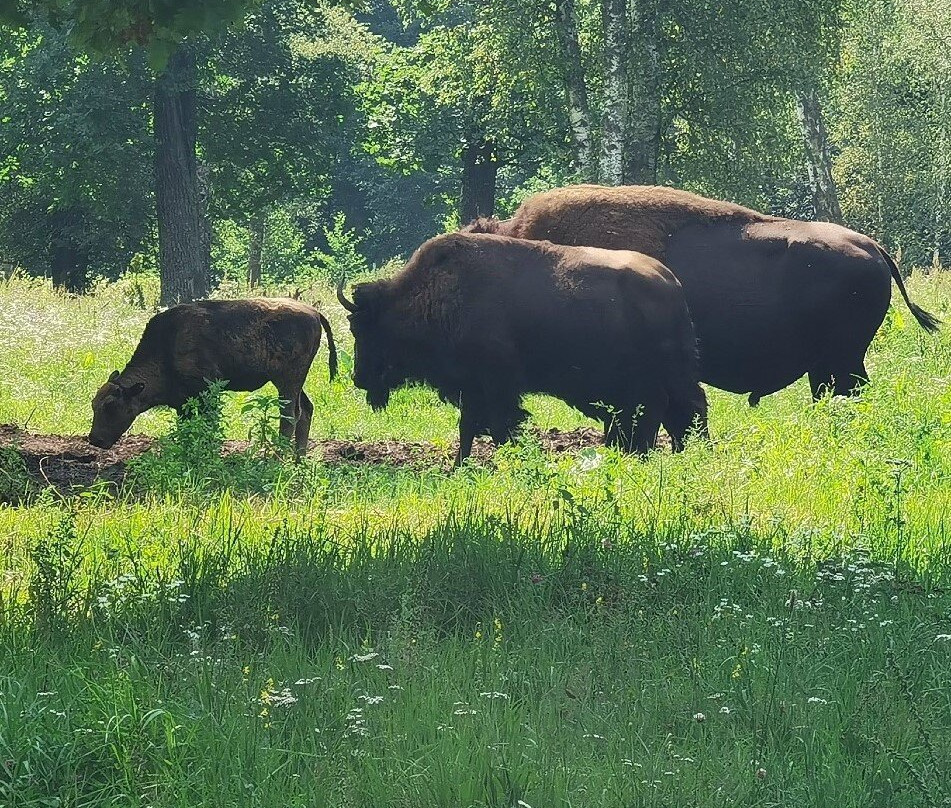 Prioksko-Terrasny Nature Reserve-Danki必去景点