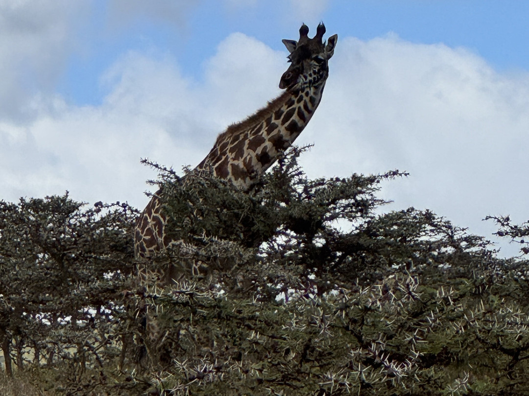 Warrior Trails-阿鲁沙必去景点