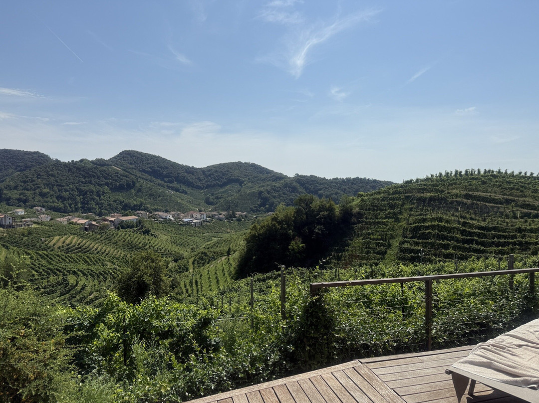 Agriturismo Due Carpini主图