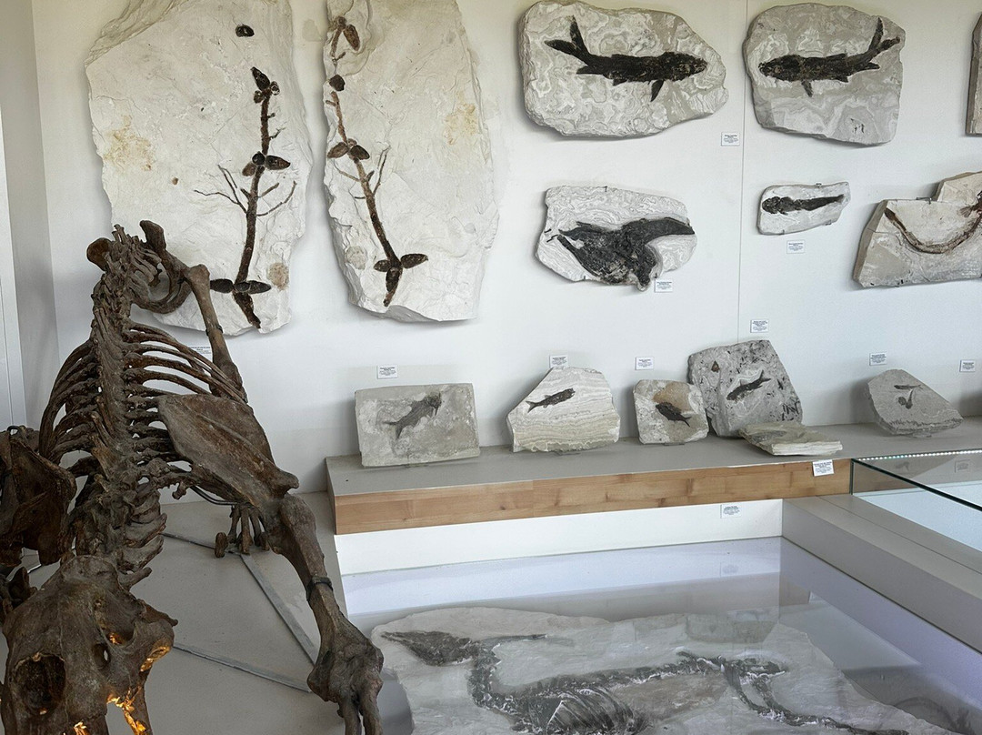 Le Muséum de l’Ardèche-Balazuc必去景点