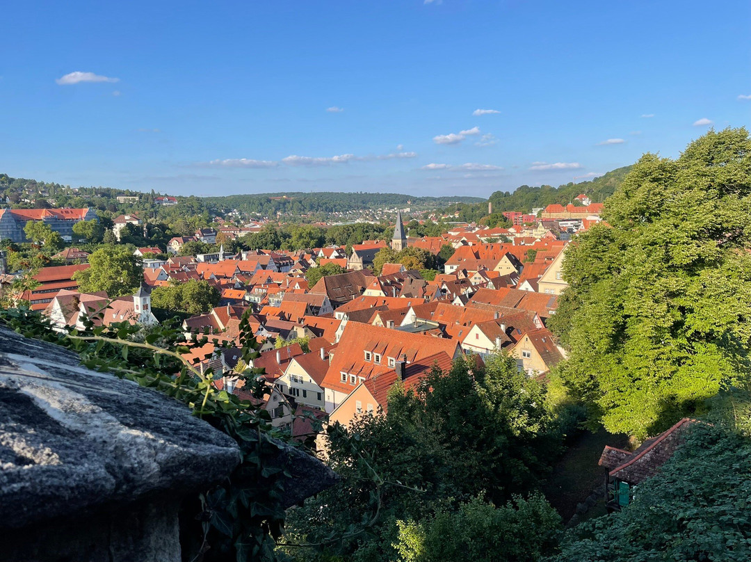图宾根酒店住宿-Domizil Tubingen