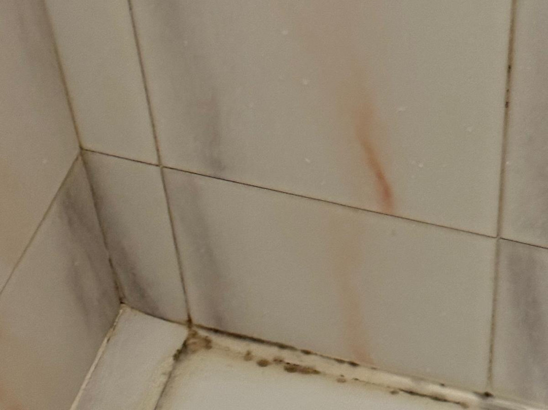 Albergo Lido Diomedee主图