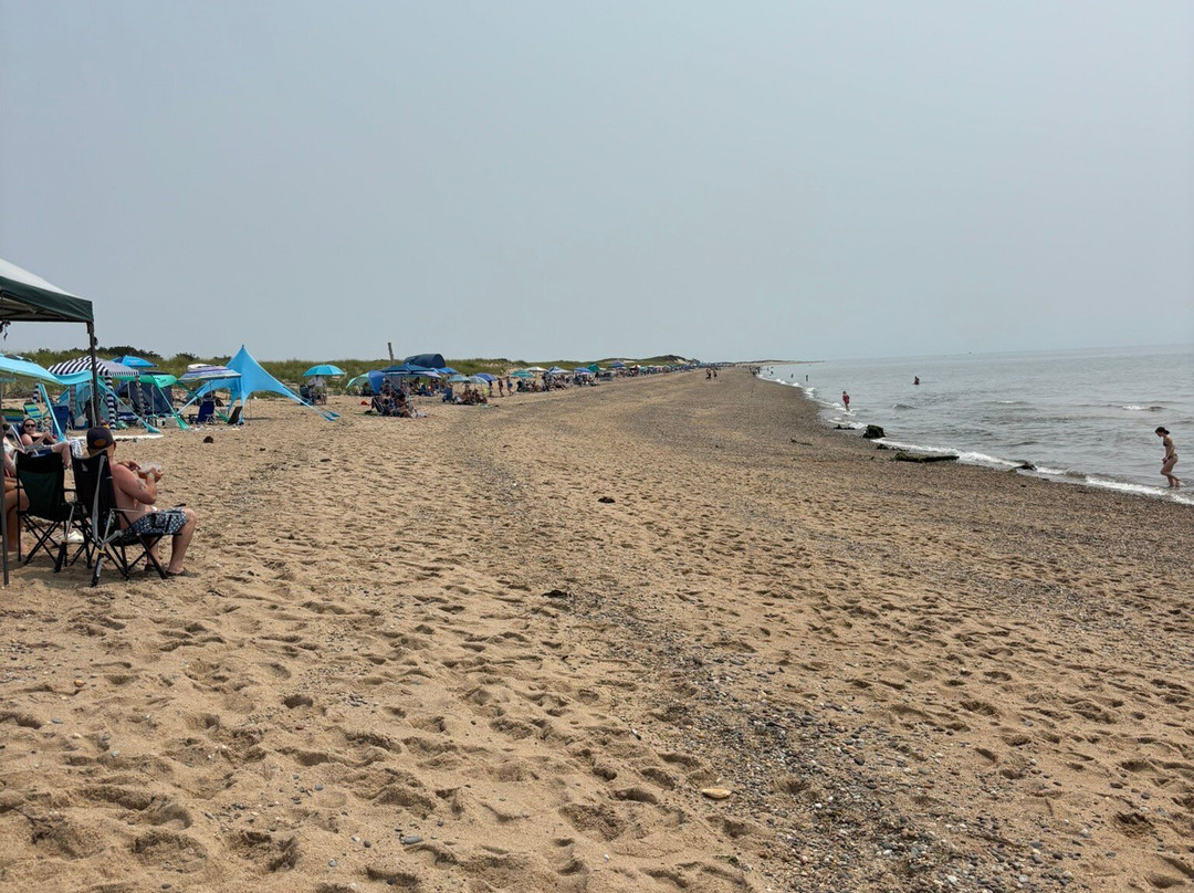 Cape Cod Provincelands Trail-普罗温斯敦必去景点