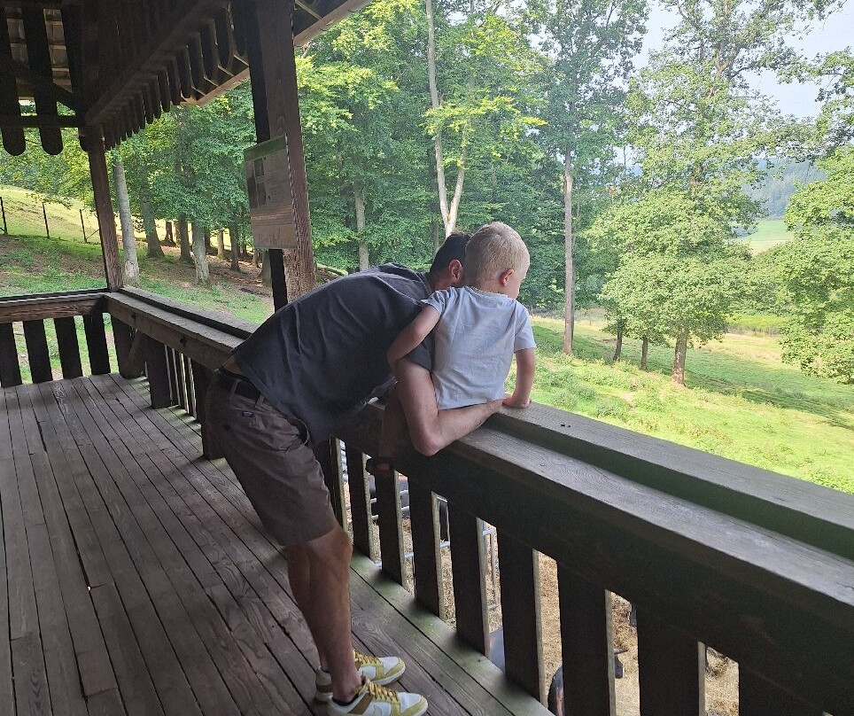 Wild- & Erlebnispark Daun-Daun必去景点