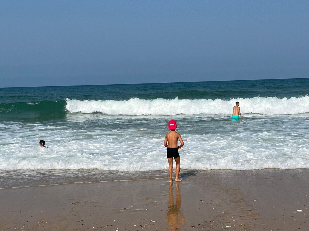 Les Plages de Lacanau-Lacanau-Ocean必去景点