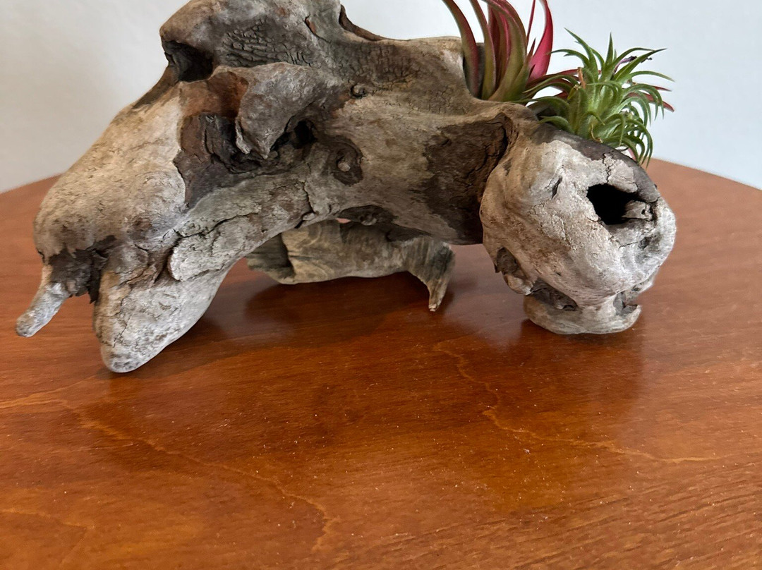 Lammers Glass, Gifts & Antiques