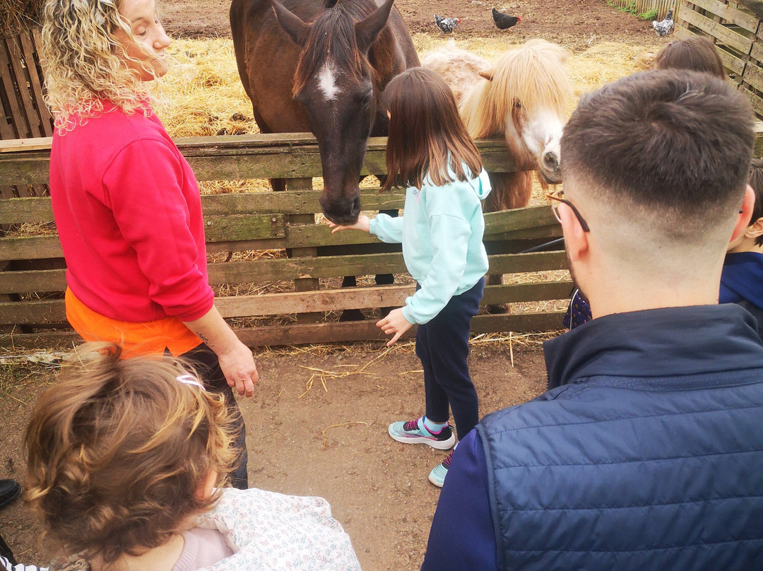 Los Caserinos-比拉维西奥萨必去景点