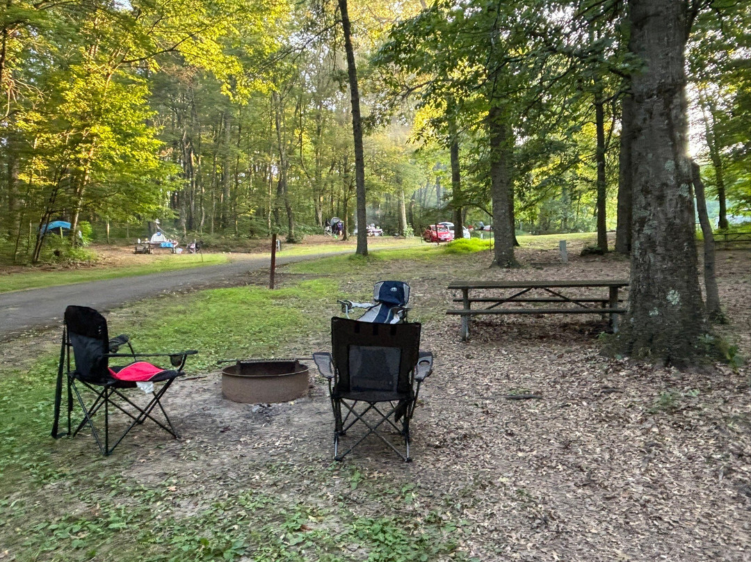 Raccoon Creek State Park-Hookstown必去景点