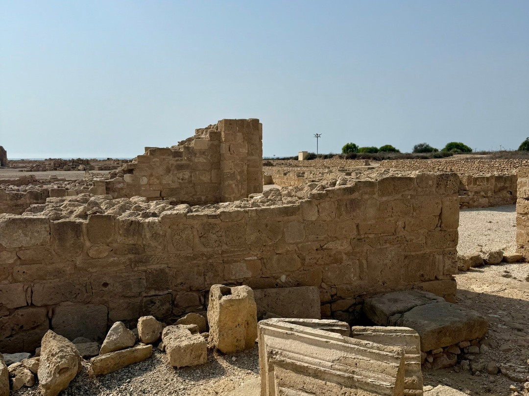 The Villa of Theseus-帕福斯必去景点