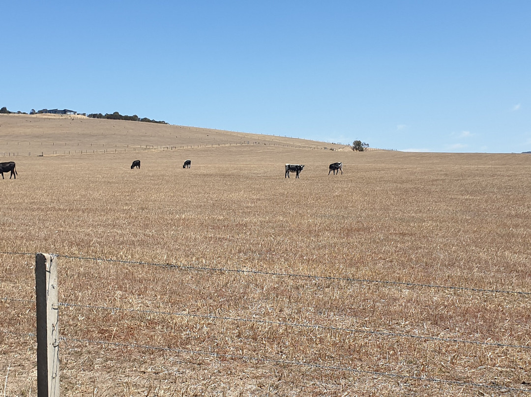 Port Elliott And Goolwa Anglican Cemetery-Port Elliot必去景点