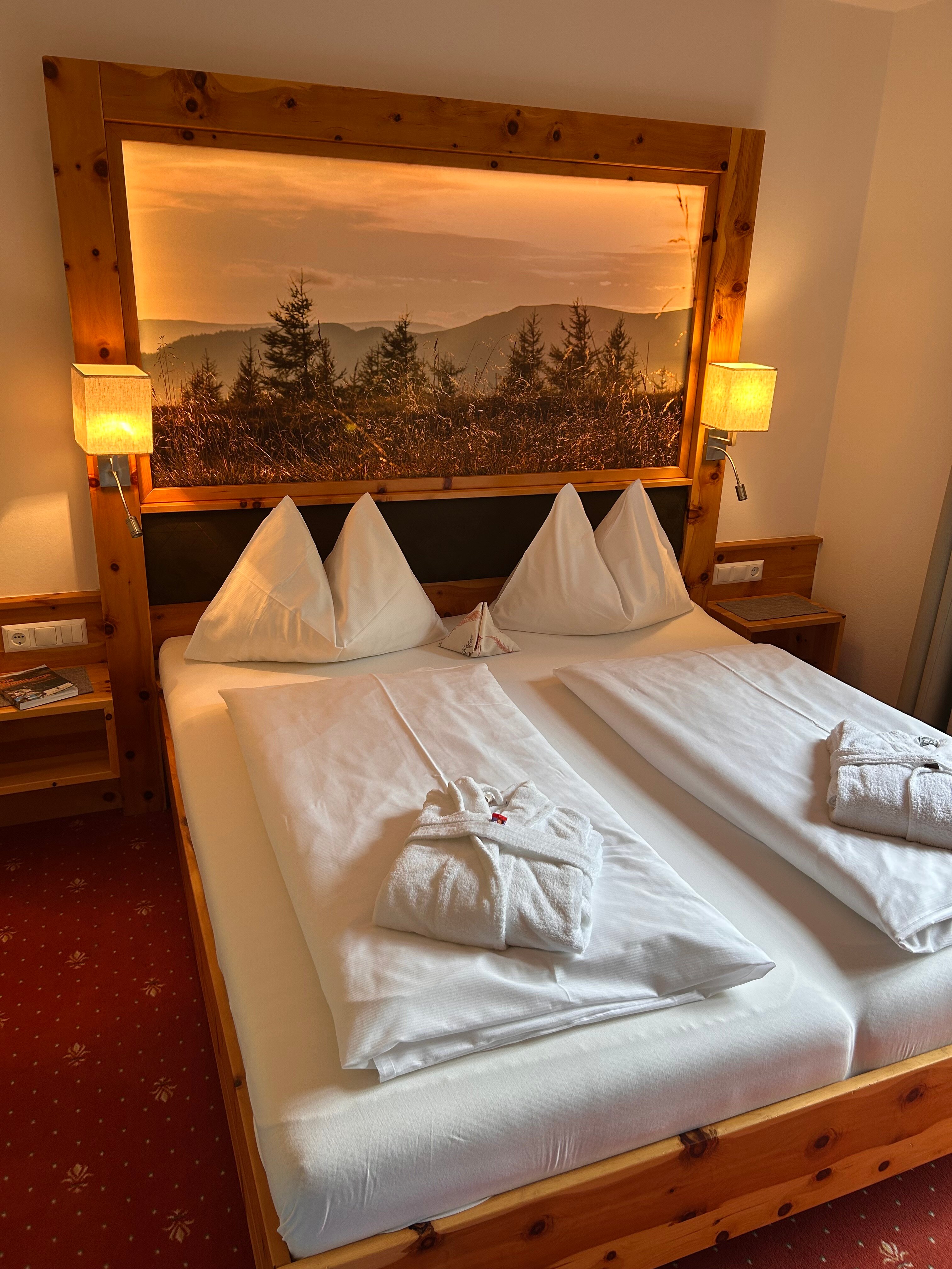 Familienhotel Gasthof Hinteregger-客卧
