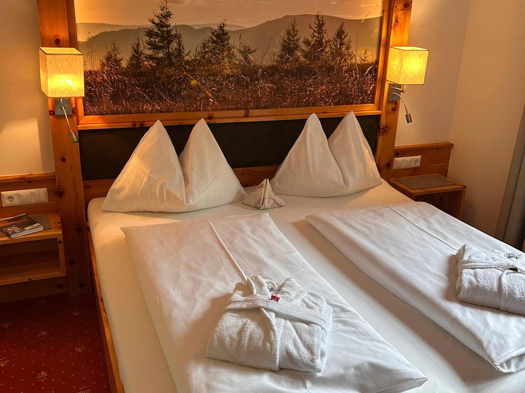 Familienhotel Gasthof Hinteregger主图