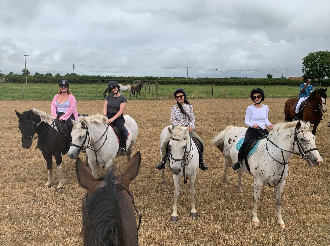 Abbeyfield Farm-Clane必去景点