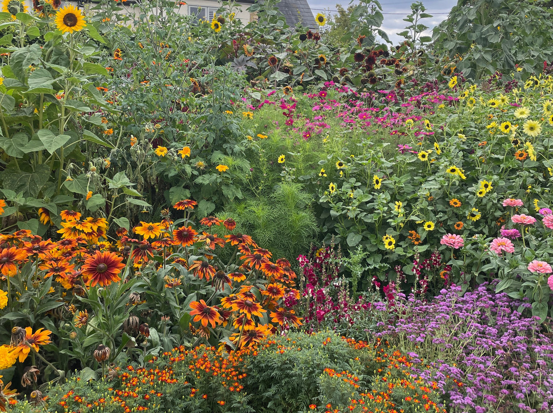 Aston Pottery-Aston必去景点