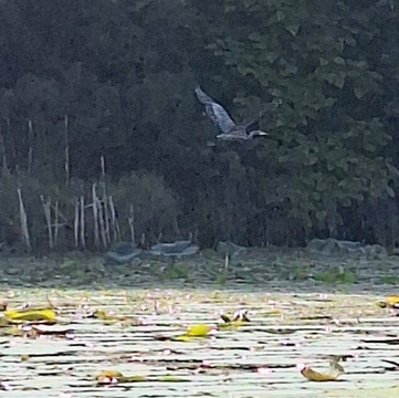 Bryant Lake Regional Park
