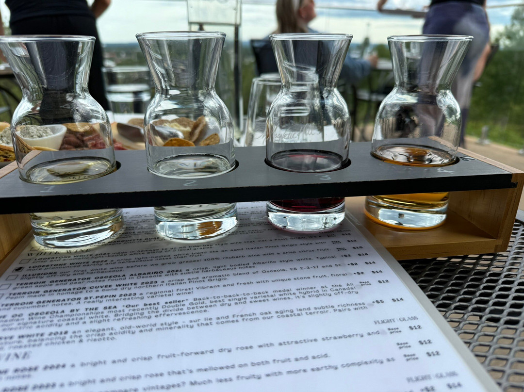 Magnetic Hill Winery-蒙古顿必去景点