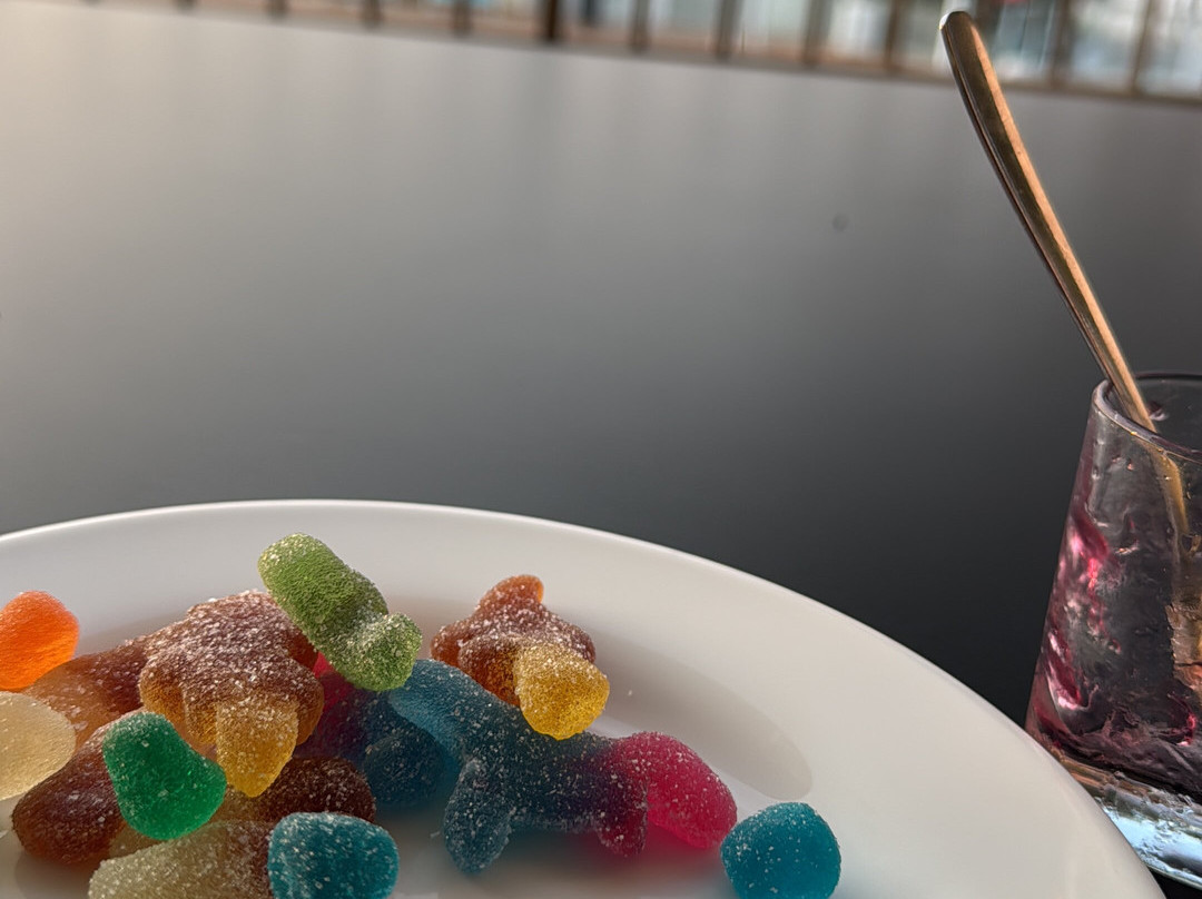 Apartamentos Vibra Riviera主图