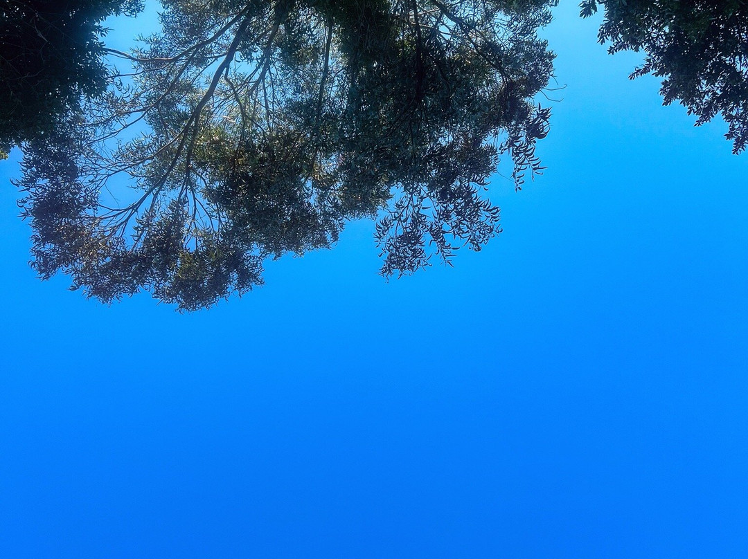 Playa de Castineiras-坎加斯德穆拉索必去景点