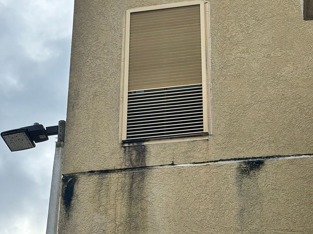 Comfort Suites Near Rainbow Springs主图