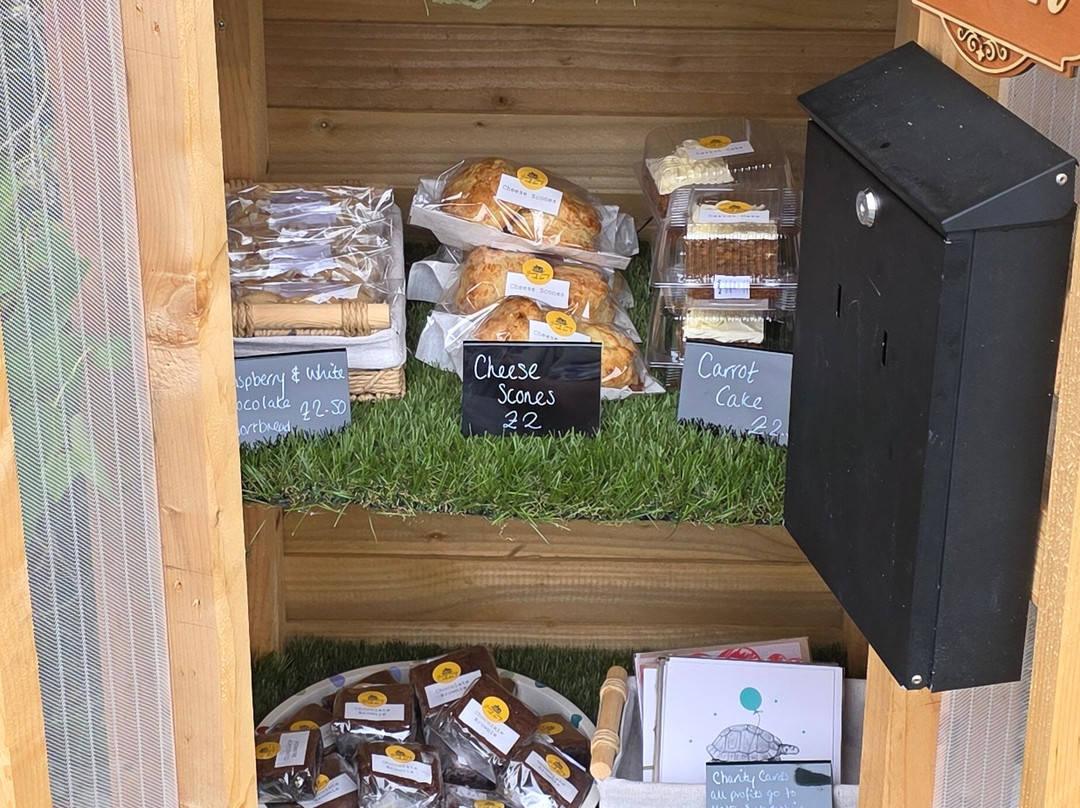 Yummy Tummy Cake Shed