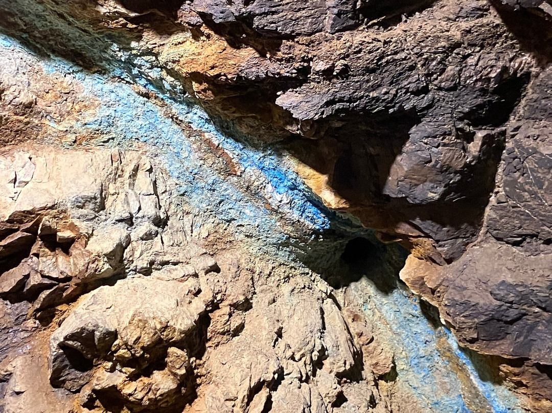 Phoenix Gold Mine-Idaho Springs必去景点