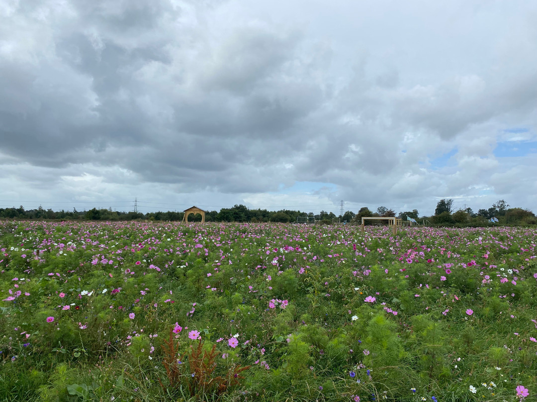 Walby Farm Park-Crosby on Eden必去景点