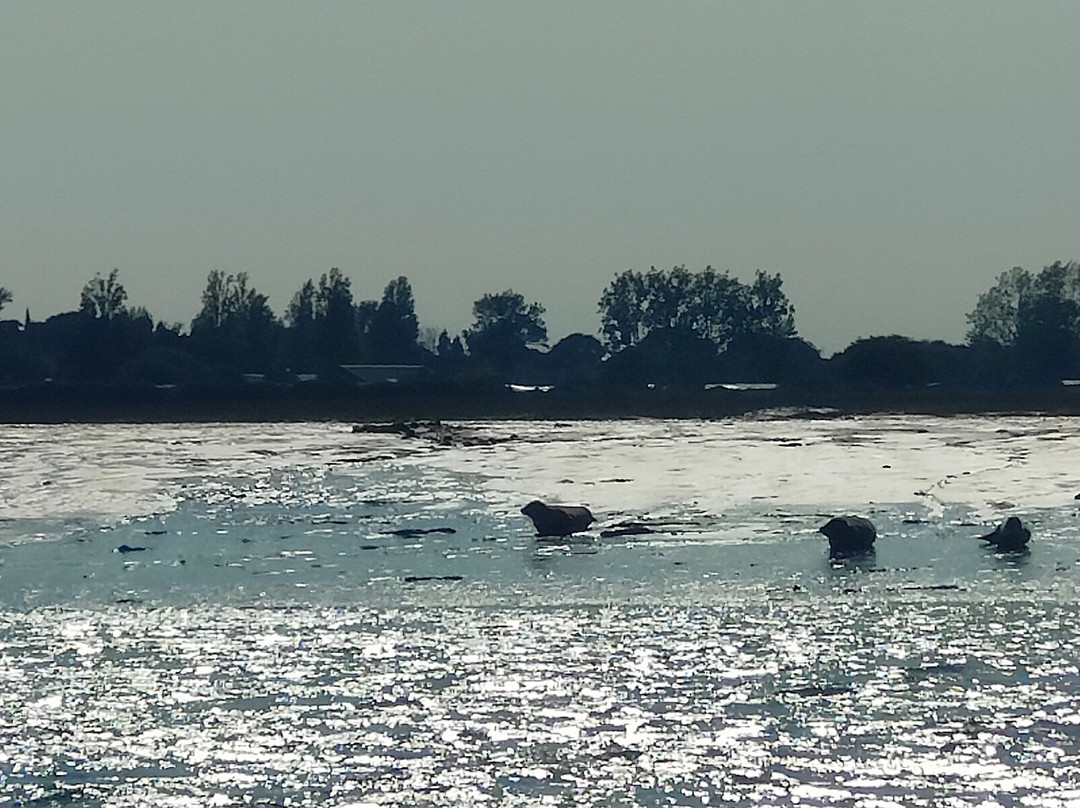 Sussex Sea Charters-West Itchenor必去景点