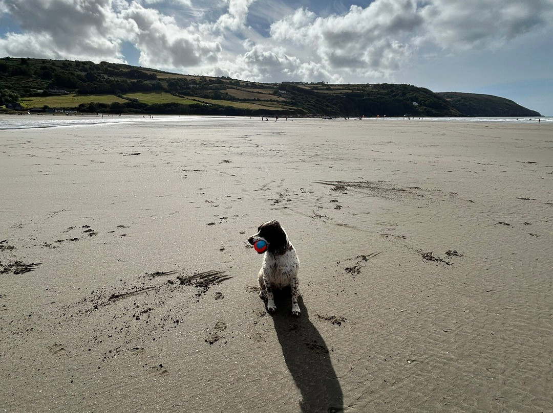 Poppit Sands Beach-Cardigan必去景点