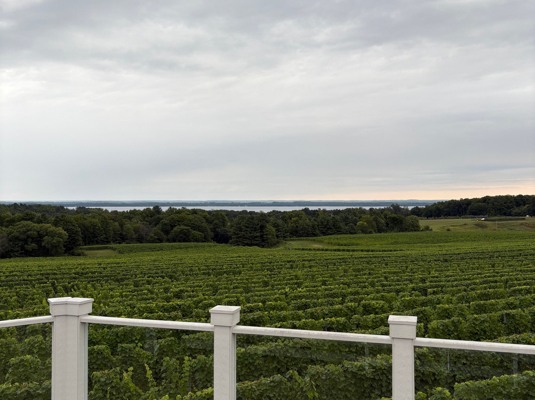 Brys Estate Vineyard & Winery-特拉弗斯城必去景点