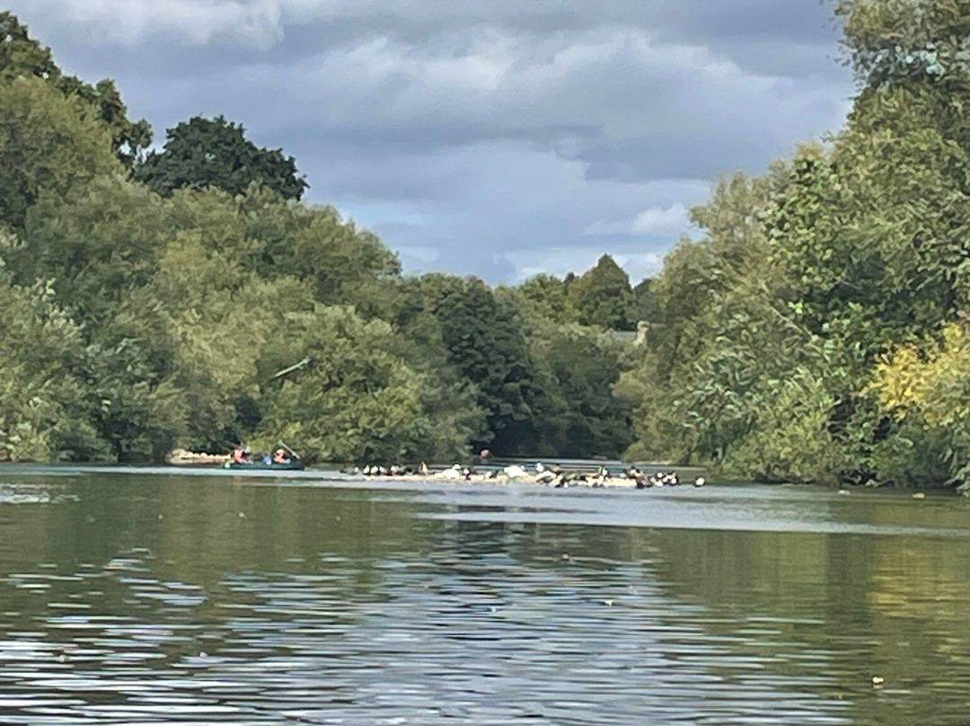 Kingfisher Cruises-瓦伊河畔罗斯必去景点